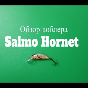 Видеообзор воблера Salmo Hornet по заказу Fmagazin