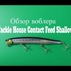 Видеообзор воблера Tackle House Contact Feed Shallow по заказу Fmagazin