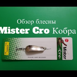Видеообзор колебалки Mister Cro Кобра по заказу Fmagazin