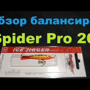 Видеообзор балансира Spider Pro 26 по заказу Fmagazin