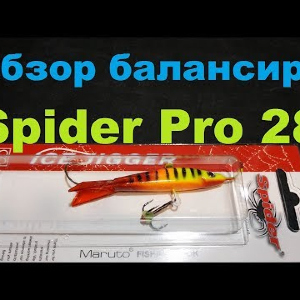 Видеообзор балансира Spider Pro 28 по заказу Fmagazin