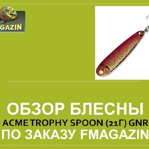 Обзор блесны Acme Trophy Spoon (21г) GNR