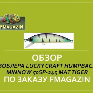 Обзор воблера Lucky Craft Humpback Minnow 50SP 245 Mat Tiger