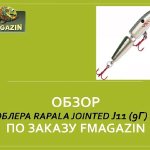 Обзор воблера Rapala Jointed J11 (9г) BP