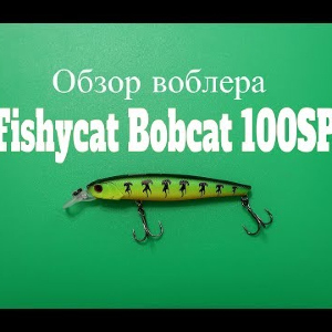 Видеообзор воблера Fishycat Bobcat 100SP по заказу Fmagazin