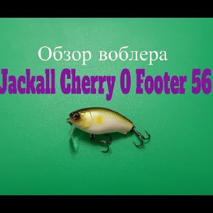 Видеообзор воблера Jackall Cherry 0 Footer 56 по заказу Fmagazin