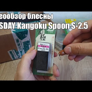 Видеообзор блесны BASSDAY Kangoku Spoon S-2.5 по заказу с Fmagazin