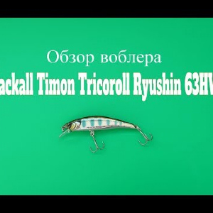 Видеообзор воблера Jackall Timon Tricoroll Ryushin 63HW по заказу Fmagazin