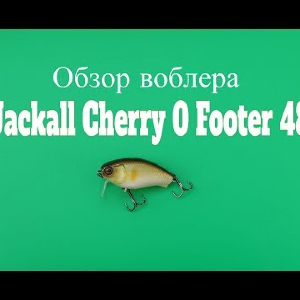 Видеообзор воблера Jackall Cherry 0 Footer 48 по заказу Fmagazin