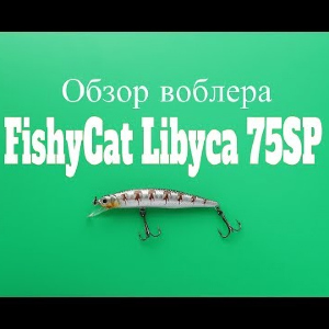 Видеообзор воблера FishyCat Libyca 75SP по заказу Fmagazin