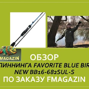Обзор спиннинга Favorite Blue Bird New BB16-682SUL-S по заказу Fmagazin