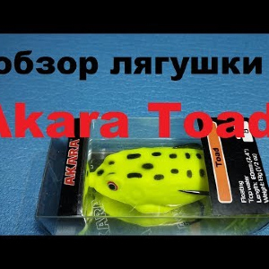 Видеообзор классной лягушки Akara Toad по заказу Fmagazin