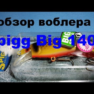 Видеообзор воблера Spigg Big 140F по заказу Fmagazin