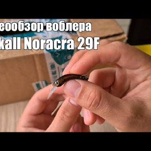 Видеообзор воблера Jackall Noracra 29F по заказу с Fmagazin