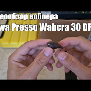 Видеообзор воблера Daiwa Presso Wabcra 30 DR по заказу с Fmagazin