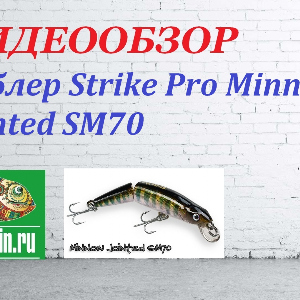 Видеообзор Воблера Strike Pro Minnow Jointed SM70 по заказу Fmagazin.