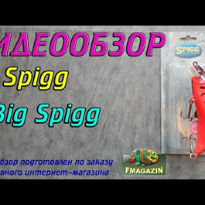 Видеообзор Spigg Big 140F по заказу Fmagazin