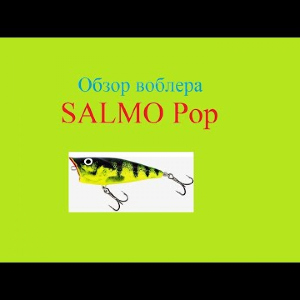 Видеообзор воблера SALMO Pop по заказу интернет-магазина Fmagazin.