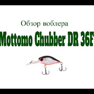 Видеообзор воблера Mottomo Chubber DR 36F по заказу Fmagazin