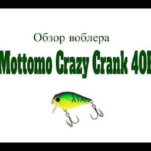 Видеообзор воблера Mottomo Crazy Crank 40F по заказу Fmagazin
