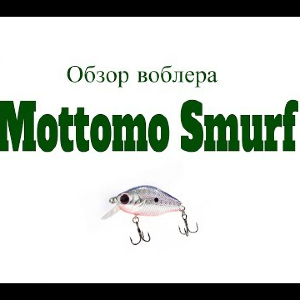 Видеообзор воблера Mottomo Smurf по заказу Fmagazin