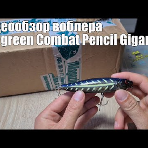 Видеообзор воблера Evergreen Combat Pencil Gigantes по заказу с Fmagazin