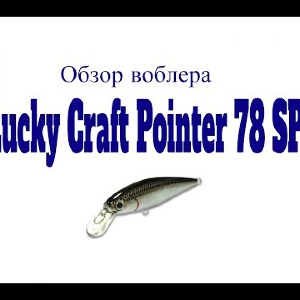 Видеообзор воблера Lucky Craft Pointer 78SP по заказу Fmagazin