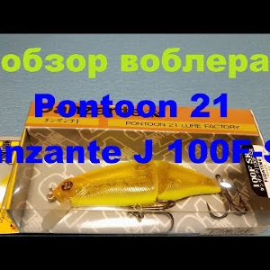 Видеообзор составника Pontoon 21 Danzante J 100F-SR по заказу Fmagazin