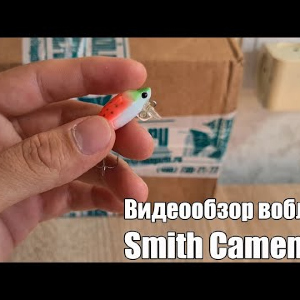 Видеообзор воблера Smith Camenusi по заказу с Fmagazin