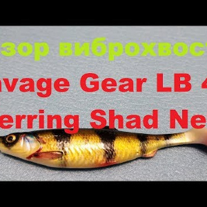 Видеообзор виброхвоста Savage Gear LB 4D Herring Shad New по заказу Fmagazin