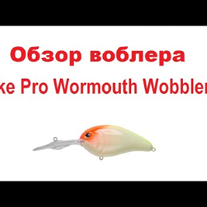 Видеообзор воблера  Strike Pro Wormouth Wobbler 72  по заказу интернет-магазина