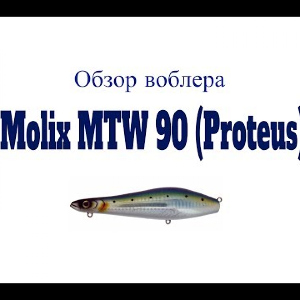 Видеообзор воблера Molix MTW 90 (Proteus) по заказу Fmagazin