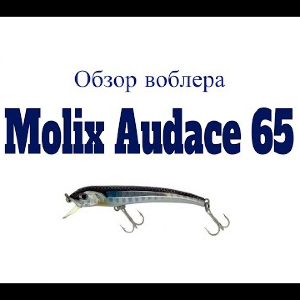 Видеообзор воблера Molix Audace 65 по заказу Fmagazin