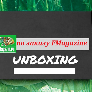 Unboxing посылки со спиннингами и силиконовыми приманками по заказу Fmagazin.