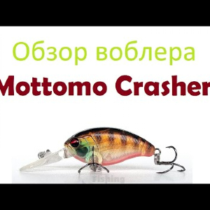 Видеообзор воблера  Mottomo Crasher по заказу интернет-магазина Fmagazin.