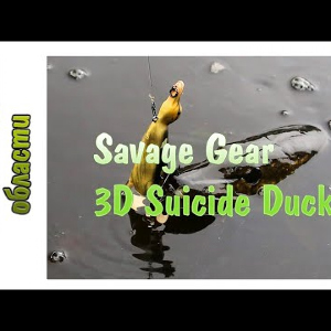 Утка-Самоубийца - Savage Gear 3D Suicide Duck. Обзор посылки из Фмагазин.Ру