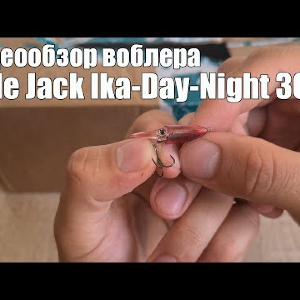 Видеообзор воблера Little Jack Ika-Day-Night 30 по заказу с Fmagazin