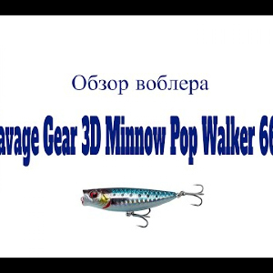 Видеообзор воблера Savage Gear 3D Minnow Pop Walker по заказу Fmagazin