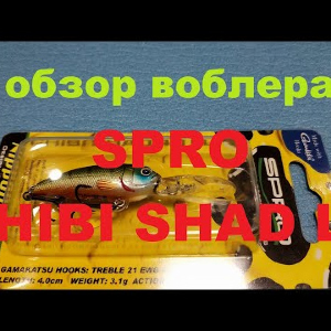 Видеообзор отличного воблера SPRO CHIBI SHAD LL по заказу Fmagazin