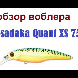 Видеообзор воблера  Kosadaka Quant XS 75 F  по заказу интернет-магазина Fmagazin