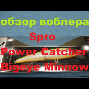 Видеообзор воблера Spro Power Catcher Bigeye Minnow по заказу Fmagazin