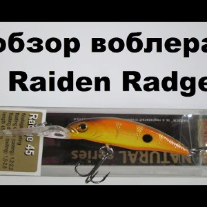 Видеообзор воблера  Raiden Radge  по заказу интернет-магазина Fmagazin.