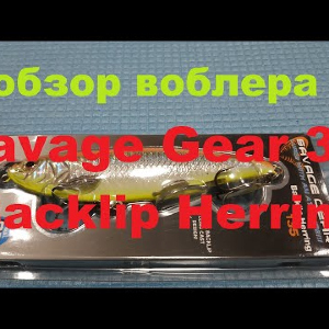 Видеообзор воблера Savage Gear 3D Backlip Herring по заказу Fmagazin