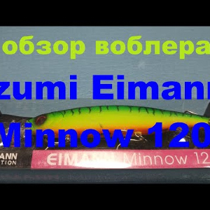 Видеообзор воблера Izumi Eimann Minnow 120 по заказу Fmagazin