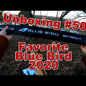 Распаковка Favorite Blue Bird BB1-762UL-T по заказу Fmagazin