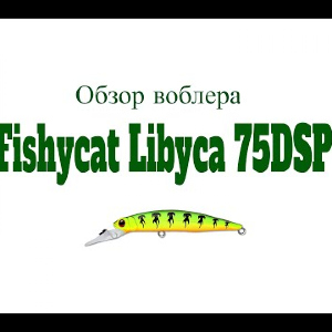 Видеообзор Fishycat Libyca 75DSP по заказу Fmagazin