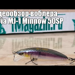 Видеообзор воблера Maria MJ-1 Minnow 50SP с Fmagazin