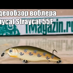 Видеообзор воблера Fishycat Straycat 55F с Fmagazin