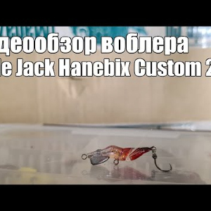 Видеообзор воблера Little Jack Hanebix Custom 25S с Fmagazin