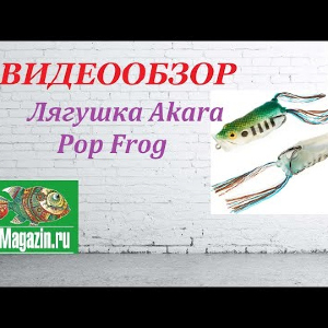 Видеообзор Лягушки Akara Pop Frog по заказу Fmagazin.